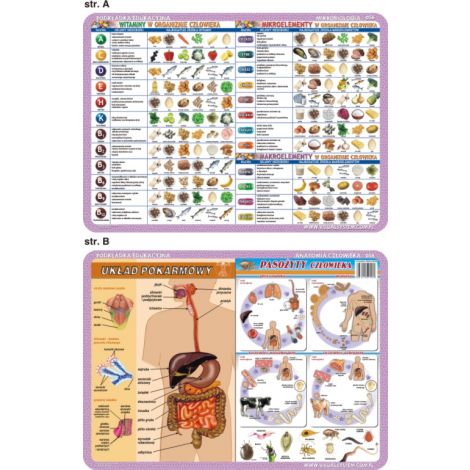 Podkładka edukacyjna Visual System Biologia, Anatomia człowieka - 2